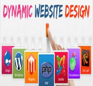 wedosolve